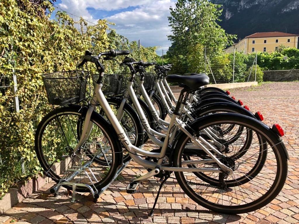 Albola Suite Holiday Apartments Riva del Garda Eksteriør billede
