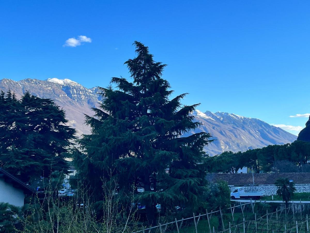 Albola Suite Holiday Apartments Riva del Garda Eksteriør billede