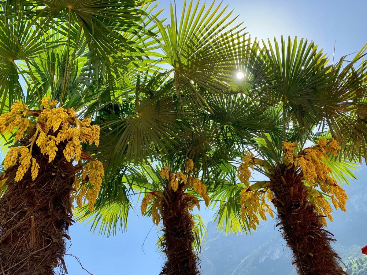 Albola Suite Holiday Apartments Riva del Garda Eksteriør billede